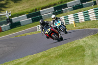 cadwell-no-limits-trackday;cadwell-park;cadwell-park-photographs;cadwell-trackday-photographs;enduro-digital-images;event-digital-images;eventdigitalimages;no-limits-trackdays;peter-wileman-photography;racing-digital-images;trackday-digital-images;trackday-photos